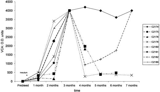 Fig. 1. Anti-VCA–immunoglobulin G titers. / After HVMNE inoculation into New Zealand White rabbits, anti-VCA–immunoglobulin G titers show the seroconversion of rabbits to EBV VCA.