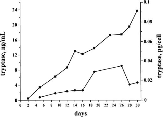 Fig. 8. Spontaneous production and release of tryptase in cultured AML cells. / AML cultures were performed using isolated bm MNCs. The figure shows a representative culture experiment performed in a tryptase+AML patient (secondary AML, serum tryptase level, 30.4 ng/mL). Cells were cultured in RPMI 1640 medium supplemented with 10% FCS (37°C; 5% CO2) for 30 days. Tryptase levels (y axis) in cell-lysates (●) and supernatants (■) were measured serially by FIA. As visible, significant levels of tryptase were detected in these cultures. Cellular tryptase levels (pg/cell) as well as the tryptase levels in the supernatants increased during a first phase of culture. Thereafter, cellular levels of tryptase decreased, whereas, in the supernatants, tryptase remained at a high level.