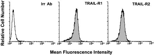 Fig. 1. Flow cytometry evaluation of the surface expression of TRAIL-R1 and TRAIL-R2 in K562 cells. / Shadowed histograms represent cells stained with anti–TRAIL-R1 or anti–TRAIL-R2 antibodies, whereas unshadowed histogram represents control cells, stained with control goat antibodies (Irr Ab). A representative of 4 separate experiments is shown.
