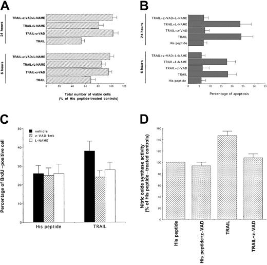 Fig. 4. Evaluation of the effect of z-VAD-fmk, inhibitor of effector caspases, and of L-NAME, inhibitor of NOS, on the TRAIL-mediated cytotoxicity. / At 6 and 24 hours after TRAIL treatment, viable cells were counted by trypan blue dye exclusion (A, data are expressed as percentage of His peptide–treated controls) and the percentage of apoptosis was quantitatively evaluated by flow cytometry after PI staining (B). Data represent the means ± SDs of 5 independent experiments performed in duplicate. Panel C shows the percentage of cells incorporating BrdU, evaluated by flow cytometry, in samples treated for 16 hours with TRAIL or His peptide in the presence or absence (vehicle) of the indicated inhibitors. In panel D, NOS activity was evaluated in cells treated with TRAIL or His peptide in the absence or presence of z-VAD-fmk. In panels C and D, data represent the means ± SDs of 3 separate experiments performed in duplicate.