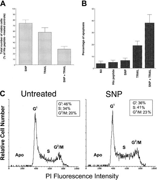 Fig. 5. Evaluation of the cytotoxic/cytostatic activity of SNP (1 mM), used alone or in combination with TRAIL (1 μg/mL) on K562. / After 24 hours of culture, viable cells were counted by trypan blue dye exclusion (A; data are expressed as percentage of His peptide–treated controls) and the percentage of apoptosis was quantitatively evaluated by flow cytometry after PI staining (B). In panels A and B, data represent the means ± SD of 5 independent experiments performed in duplicate. In panel C, the cell cycle was evaluated by PI DNA staining and flow cytometry. The insets show the percentage of cells with a G1(2n), S, G2/M(4n) DNA content, calculated excluding apoptotic cells (Apo). A representative analysis of 4 separate experiments is shown.