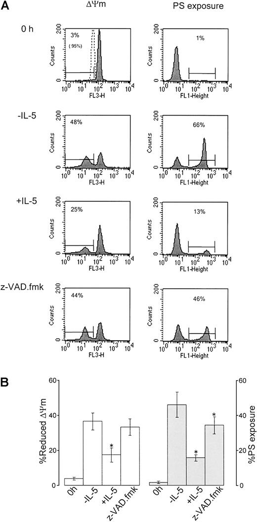 Fig. 3. IL-5 and z-VAD.fmk prevent phosphatidylserine externalization, but only IL-5 prevents loss of ΔΨm in eosinophils. / Freshly isolated eosinophils (0 hour) or eosinophils incubated in the absence (−IL-5) or presence of IL-5 (10−10 M) or z-VAD.fmk (100 μM) for 24 hours were assessed for ΔΨm and PS exposure as described in “Materials and methods.” (A) Flow cytometry histograms of 10 000 events showing percentage cells exhibiting reduced ΔΨm or increased PS exposure. At 0 hours, eosinophils were also treated with the mitochondria uncoupling agent, mCCP, as a positive control for loss of ΔΨm (open histogram, figure in parentheses). Results are representative of 6 separate experiments. (B) Percentage eosinophils with reduced ΔΨm (open bars) or PS externalization (filled bars). Results are expressed as mean ± SE of 6 separate experiments. Asterisk indicates that IL-5 and z-VAD.fmk significantly inhibited PS exposure compared with medium control (−IL-5), but only IL-5 inhibited loss of ΔΨm (P < .05).