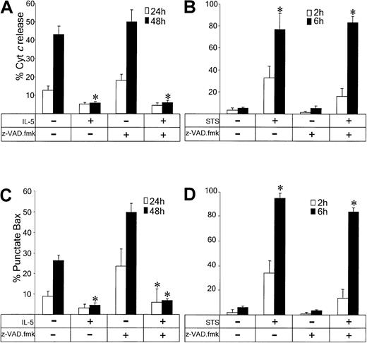 Fig. 6. IL-5 prevents both cytochrome c release and Bax translocation to the mitochondria during spontaneous eosinophil apoptosis. / Eosinophils were coincubated in the presence or absence of either STS (10−5 M) or IL-5 (10−10 M) and z-VAD.fmk (100 μM) for the indicated times and the cells assessed for evidence of cytochrome c release (A,B) or Bax translocation to the mitochondria (C,D). Cytochrome c and Bax were detected by immunohistochemistry as described in “Materials and methods.” The percentage of eosinophils exhibiting diffuse cytochrome cand aggregated Bax distribution were quantified by fluorescence microscopy. IL-5 inhibited cytochrome c release and Bax translocation observed during spontaneous eosinophil apoptosis after 24 and 48 hours. Quantification of subcellular localization in eosinophils exposed to STS for longer than 6 hours was not possible. STS rapidly induced cytochrome c release and Bax translocation after 2 hours, which was not inhibited by z-VAD.fmk. Results are expressed as the mean ± SE of 3 separate experiments. Asterisk indicates IL-5– or STS-treated eosinophils compared with the relevant untreated or z-VAD.fmk–treated control (P < .05).