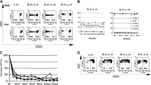 Fig. 2. GATA1-Cre–mediated loxPiga recombination in erythroid cells. / GATA1-Cre–mediated loxPiga recombination leads to primitive and definitive red blood cells that are completely or partially deficient in GPI-linked proteins. (A) Flow cytometric analysis for the expression of CD24 on red blood cells from L+/− control mice, G+/−L+/−, G+/−L+/+, and E+/−L+/− at birth and at the age of 4 months (4M). E+/−L+/− mice are offspring from theEIIa-cre × L breeding and are mosaic for a nonfunctional PIGA protein.8 Note that while a proportion of red cells in E+/−L+/− mice is completely deficient in CD24, in GL mice the affected proportion of red cells have residual expression of CD24. Numbers indicate the percentage of cells with normal decreased expression of CD24. (B) Time course of the relative proportion of blood cells deficient in GPI-linked proteins in G+/−L+/− and G+/−L+/+ mice during an observation period of 16 and 8 months, respectively. Means and SDs are shown. Note that in G+/−L+/− mice, the proportion of reticulocytes deficient in CD24 is always higher than the proportion of GPI-anchor–deficient red cells (P ≤ .05). (C) Decreasing levels of residual CD24 expression on the affected red cell population in GL mice during the observation period. The y-axis represents the mean fluorescence intensity of red cells deficient in GPI-linked proteins normalized to the mean fluorescence intensity determined at birth. (D) Expression of CD24 on red cells from 4 representative fetuses at E13.5. At this stage in development, 2 circulating red cell populations can be identified in healthy fetuses by flow cytometry. One population has high side scatter characteristics (SSChigh) and a low level of CD24 expression (CD24low), which corresponds to circulating primitive red cells. Red cells derived from definitive hematopoiesis are SSClow and CD24high (left panel). Note that both E+/−L+/− and GL mice have a proportion of primitive and definitive red cells deficient in CD24. However, in contrast to E+/−L+/− mice, in whom PIGA− red cells completely lack the expression of CD24,8 the affected primitive and definitive red blood cell populations in GL mice show a wide distribution of residual expression of CD24. SSC indicates side scatter; L+/−, healthy control mouse. E+/−L+/− mice are offspring from the EIIa-cre × L breeding.8 Numbers indicate the percentage of cells with normal decreased expression of CD24.