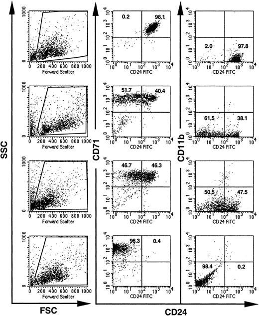 Fig. 4. Expression of CD24 on individual BFU-Es from GL mice. / BFU-E colonies grown in methylcellulose from bone marrow cells of GL mice were individually picked and analyzed for the expression of CD24. Visual inspection, high CD71 expression, and the lack of CD11b were used to distinguish BFU-Es from mast cell and myeloid colonies. Dead cells and debris were excluded by their light scatter characteristics (the gates used are shown on the left). Numbers indicate the percentage of cells with normal decreased expression of CD24.