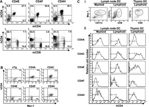 Fig. 2. FACS analysis of hCD4 expression. / (A) LN cells. Double staining with antihuman CD4 (hCD4) and antimouse CD4 (mCD4) or mouse CD8 (mCD8) monoclonal antibodies was carried out. The percentage of T cells expressing hCD4 in a representative mouse for each line is shown. Note that the leakiness of the hCD4 expression on the mature CD8+ T cells was absent in the CD4F Tg line. (B) Peritoneal macrophages. Double staining of plated peritoneal macrophages was done with anti-hCD4 and anti–Mac-1 antibodies. The percentage of macrophages expressing Mac-1 and hCD4 is shown. The quadrant settings are based on unstained controls. (C) DCs. Triple staining of enriched LN DCs. Cells that were gated for CD11c+CD11b/Mac-1+ (myeloid) and CD11c+CD8α+ (lymphoid) expression (i) show expression of hCD4 (ii). The thymic DCs were all CD11c+CD8α+. The bars in each panel in ii show the staining of hCD4 on DCs from non-Tg control mice.