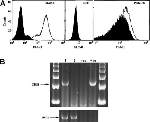 Fig. 2. Expression of CD81 in human cell lines and platelets. / (A) Flow cytometric analysis of CD81 expression by Molt-4 cells, U937 cells, and human platelets. Fluorescence profiles are shown as open for cells labeled with a mAb to CD81 and as shaded for cells labeled with an IgG isotype control mAb. Results are representative of 3 to 5 separate experiments. (B) RT-PCR analysis of CD81 mRNA in Molt-4 (lane 1) and U937 (lane 2) cells. Total RNA from the 2 cell types was also analyzed with primers specific for β-actin mRNA as an internal control; given the similar molecular sizes of the CD81 and β-actin amplicons, 2 separate amplifications were performed with the same cDNA sample. Lanes labeled −ve and +ve represent reaction mixtures in which total RNA was omitted or replaced with a plasmid encoding human CD81, respectively. The leftmost and rightmost lanes contain molecular size markers.