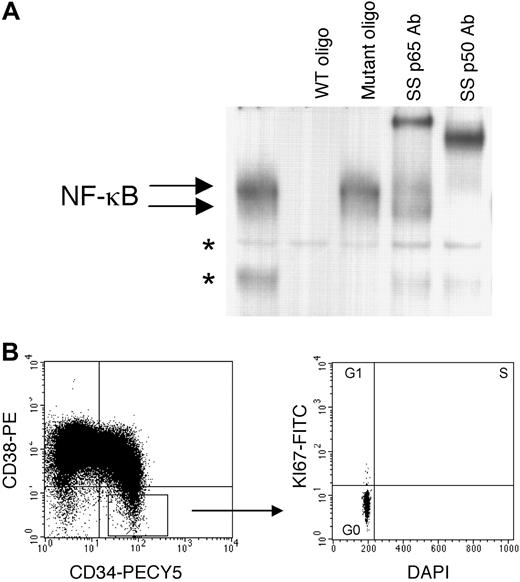 Fig. 2. EMSA of primitive AML cells. / Quiescent CD34+38−AML cells demonstrate NF-κB binding activity. (A) Representative example (specimen 1 in Table 1) of an EMSA shows NF-κB binding for AML CD34+/CD38−/CD123+ cells. As shown for Figure 1B, binding is competed by wild-type, but not mutant oligonucleotide, and both p50 and p65 subunits are detected. (B) Representative example of AML cells gated for CD34+/38− (left panel) and labeled by the SID method of cell-cycle analysis (right panel). An identical pattern of NF-κB binding was observed for 3 of 3 CD34+/CD38−/CD123+ AML specimens.