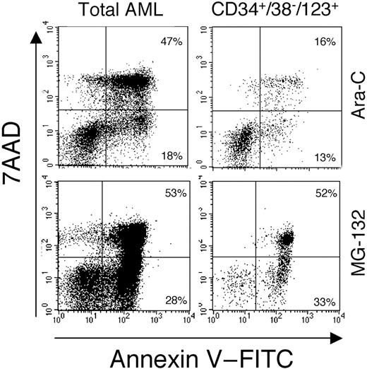 Fig. 5. MG-132 induces apoptosis in primitve AML cells. / MG-132 induces potent apoptosis in primitive AML cells (specimen 7 in Table 1). Annexin V/7-AAD profiles of total AML (left panels) and CD34+/CD38− cells (right panels) treated with 100 μg/mL Ara-C (top panels) or 1 μM MG-132 (bottom panels).