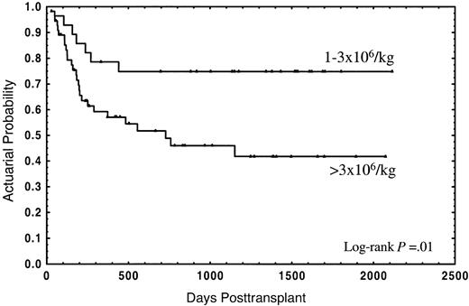 Fig. 1. Actuarial probability of overall survival for patients receiving a CD34+ cell dose of 1 × 106/kg to 3 × 106/kg or greater than 3 × 106/kg.