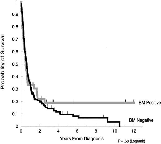 Fig. 1. Survival in AIDS-NHL patients with and without bone marrow involvement. / The median duration of survival in patients with bone marrow involvement (6.0 months) was not significantly different from the median survival of patients without bone marrow involvement (7.3 months) (P = .58).
