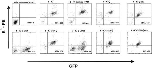 Fig. 2. Flow cytometric analysis of 4G4 transductants. / 4G4 T cells were transduced with retroviral supernatants. Data for construct 5 (Kb-ζ-CD4) and construct 7 (Kb-ζ-CD28) show unsorted primary transductants. Because of the poor surface expression of these constructs, they were not further analyzed. Data for other constructs show GFP-sorted populations. Mean fluorescent intensities for chimeric receptor (Kb) expression among GFP-positive cells (total cells for 4G4-untransfected) are listed within each plot. Relative expression levels were consistently observed with multiple transductions of each construct.