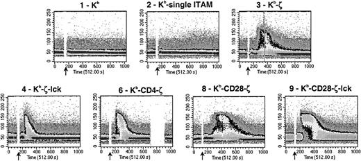 Fig. 4. Chimeric receptors stimulate calcium mobilization. / 4G4 T cells were loaded with the calcium sensitive fluorochrome, indo-1, stained with H-2Kb–specific antibody at 4°C, warmed to 37°C, and stimulated by antibody crosslinking with goat antimouse IgG at the timepoint indicated by the arrow. Changes in intracellular calcium were monitored by flow cytometry. Graphs represent calcium mobilization as a function of time. Addition of ionomycin resulted in marked calcium fluxes in all cell lines (data not shown). Data are representative of 2 experiments.