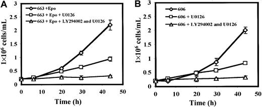 Fig. 6. Active MAPKs are required for HS1 and HS2 cell proliferation. / (A) 663 HS1 cells and 606 HS2 cells (B) were treated or not treated with 20 μM of the MEK kinase inhibitor U0126 and/or 10 μM of the PI3K inhibitor LY294002 for the indicated times. The means and standard deviations were determined from 4 experiments.