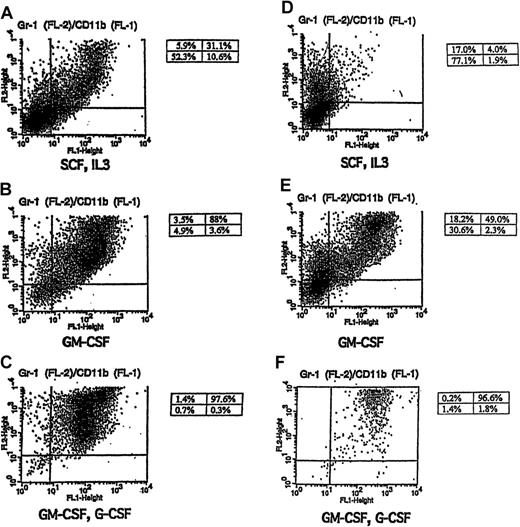 Fig. 3. Gr-1 and CD11b expression in cytokine-stimulated FL-8(−/−) and FL-1(+/−) cells. / Shown are FACS-generated histograms of Gr-1 and CD11b expression in FL-8(−/−) (A-C) and FL-1(+/−) (D-F) cells cultured in the indicated cytokines including (A, D) SCF plus IL-3, (B, E) GM-CSF alone for 4 days, and (C, F) GM-CSF for 2 days, followed by G-CSF (5 ng/mL) for 4 days.