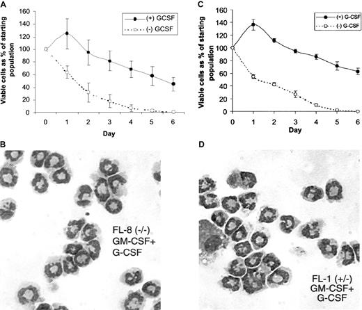 Fig. 5. Response of the fetal liver cell lines to G-CSF. / Cells from the fetal liver cell lines continuously growing in SCF and IL-3 were washed and resuspended for 2 days in media containing GM-CSF alone to induce G-CSF receptor mRNA expression (Figure 4). These cells were then washed and resuspended (105/mL) in culture media in the presence or absence of G-CSF (5 ng/mL). At the indicated time after culture initiation, the viable cell number was determined using trypan blue dye exclusion for the (A) FL-8(−/−) and (C) FL-1(+/−) cells. Wright-Giemsa stains of cytospin preps are shown for the (B) FL-8(−/−) and (D) FL-1(+/−) cells that were cultured in GM-CSF alone for 2 days, followed by G-CSF (5 ng/mL) alone for 4 additional days.