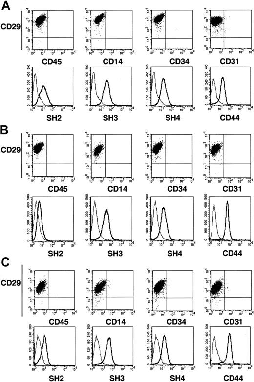 Fig. 3. Immunophenotype of fetal MSCs by FACS analysis. / MSCs (at the second and tenth passages in culture) from fetal blood (A; n = 6), liver (B; n = 4), and bone marrow (C; n = 4) were stained with surface antibodies and analyzed by FACS.