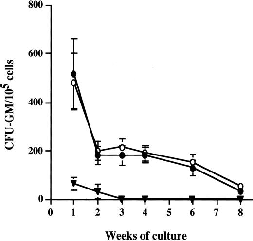 Fig. 4. Coculture of fetal MSCs with umbilical cord blood CD34+ hematopoietic stem–progenitor cells. / Umbilical cord blood CD34+ cells were cocultured with fetal blood MSCs for 6 weeks (n = 2) and for 8 weeks (n = 1) (●). Control data include cord blood CD34+ cells grown either on murine stromal cells (○) or without stromal cells (▾).