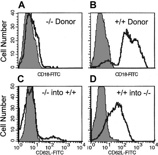 Fig. 2. FACS histograms from recipients of CD18. / null and selectin null donor cells. (A,B) FACS histogram of single-cell suspensions prepared from colony-derived cells (granulocyte-macrophage, erythroid burst-forming units, CFU-Mix) after culturing BM of recipients of CD18−/− cells (A) 2 weeks after transplantation. Note that in contrast to colonies derived from double-positive cells (B), all colonies from the CD18−/− double-positive recipients were contributed by CD18−/− cells. (C,D) Peripheral blood white blood cells at 30 days after transplantation in double-positive recipients of EPL−/− BM cells (C) and EPL−/− recipients of double-positive BM cells (D).