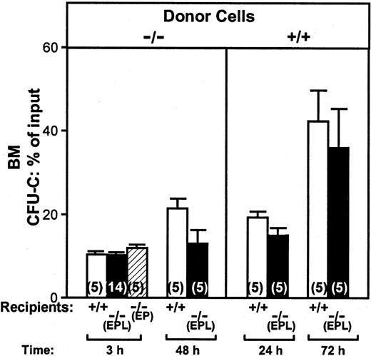 Fig. 3. CFU-Cs in BM. / Figure shows the proportion of injected CFU-Cs that lodged in BM (total BM calculated as described in “Materials and methods”) when donor BM cells from EPL−/− or double-positive mice were given to either double-positive or EPL−/− or EP−/− irradiated recipients. Ten double-positive mice and 10 EPL−/− mice were given cells from EPL−/−donors and half were killed at 3 hours, the other half at 48 hours after infusion (left panel). At 3 hours an additional group of 9 recipient EPL−/− animals (5 + 9 = 14) and 5 EP−/− recipient animals were evaluated in separate experiments and are included in this figure. Another group of 20 animals, 10 double-positive recipients and 10 EPL−/−recipients were given double-positive cells from the same BM pool; half were killed at 24 hours and the rest at 72 hours (right panel). None of the differences between control (double-positive) cells or selectin-deficient (double-negative) cells given to double-positive or double-negative recipients were statistically significant (P ≥ .05).