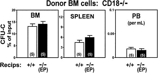Fig. 5. Homing patterns of CD18−/− cells transplanted into irradiated double-positive recipients compared to those transplanted into PE−/− recipients assessed at 24 hours after injection. / Values are expressed as CFU-Cs recovered from each tissue as percent of injected CFU-C inoculum. Distribution in BM and peripheral blood do not show significant differences between the 2 types of recipients (P ≥ .05). Splenic uptake tends to be slightly higher in PE−/− recipient animals.