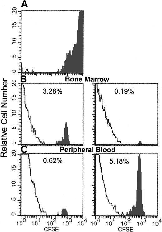 Fig. 8. Flow cytometric analysis of BM or peripheral blood cells of recipients of CFSE-labeled CD18. / null cells 24 hours after their infusion. Solid profile: CFSE fluorescent cells. (A) Input donor CFSE-labeled BM cells. (B) Recovery of CFSE+/CD18 null cells in BM without (left) and with (right) anti-α4. (C) Circulating CFSE+/CD18 null cells in peripheral blood without (left) and with (right) anti-α4. (Pooled samples from femurs or the blood of 5 mice were used for FACS analysis.)