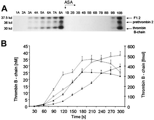 Fig. 2. Quantitation of prothrombin activation products. / (A) A representative immunoblot displaying α-thrombin B chain (bottom band), prethrombin 2 (middle band), and F1.2 (upper band). Consecutive 30-second bleeding-time blood samples were separated on a 5% to 15% linear gradient SDS-PAGE gel under reducing conditions. Three activation products were probed with a polyclonal antibody, which recognizes prothrombin, prethrombin 1, prethrombin 2, fragment 2, prothrombin, and α-thrombin B chain. (B) Quantitative analysis of the generation of α-thrombin B chain (circles) in bleeding-time blood. This product, estimated by densitometry and comparison to standards, is presented as a function of time (seconds). Concentration of α-thrombin B chain before (open circles) and after aspirin (ASA) treatment (closed circles). Total amounts of thrombin B chain in each sample before (open triangles) and after aspirin treatment (closed triangles). Values are plotted as means ± SEM.