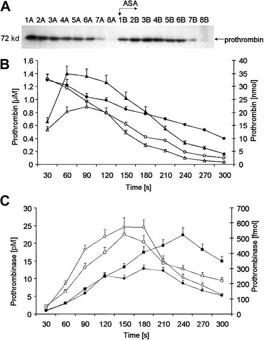 Fig. 3. Quantitation of prothrombin. / (A) A representative immunoblot of prothrombin. Consecutive 30-second bleeding-time blood samples were separated on a 5% to 15% linear gradient SDS-PAGE gel under reducing conditions. Prothrombin was probed with a polyclonal antibody (Figure 2). Wells A—blood samples taken before aspirin (ASA) ingestion (75 mg/d for 7 days); wells B—samples after aspirin therapy. (B) Quantitative analysis of removal of prothrombin from supernatants of bleeding-time blood. Levels of prothrombin, determined by densitometry and comparison with standards, are presented as a function of time (seconds). Total amounts of prothrombin before (open triangles) and after aspirin treatment (closed triangles). Concentrations of prothrombin before (open circles) and after aspirin treatment (closed circles). (C) Prothrombinase formation calculated in each 30-second bleeding-time blood sample, as described in “Materials and methods.” Total amounts of prothrombinase before (open circles) and after aspirin treatment (closed circles). Concentrations of prothrombinase before (open squares) and after aspirin treatment (closed squares). Values are plotted as means ± SEM.
