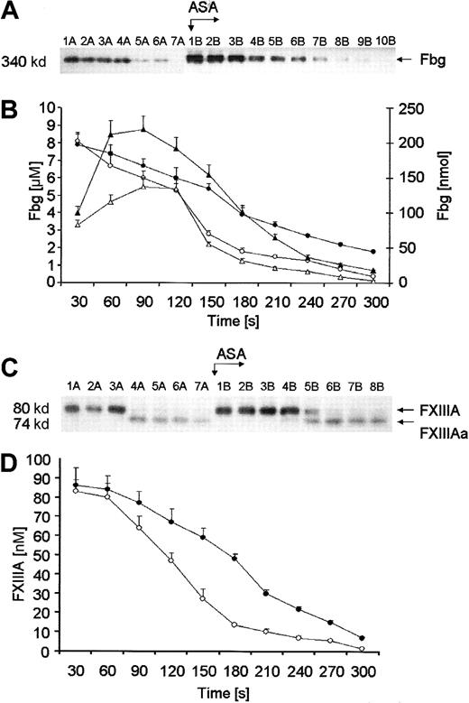 Fig. 5. Quantitation of Fbg and FXIII. / (A) A representative immunoblot of Fbg. Consecutive 30-second bleeding-time blood samples were separated on a 5% to 15% linear gradient SDS-PAGE gel under nonreducing conditions. Wells A—blood samples taken before aspirin ingestion (75 mg/d for 7 days); wells B—samples after aspirin (ASA) administration. (B) Time courses for Fbg consumption. Levels of Fbg, determined by densitometry and comparison with standards, are presented as a function of time (seconds). Concentration of Fbg before (open circles) and after aspirin treatment (closed circles). Total amounts of Fbg in each sample before (open triangles) and after aspirin treatment (closed triangles). (C) A representative immunoblot of the subunit A of FXIII. Consecutive 30-second bleeding-time blood samples were separated on a 5% to 15% linear gradient SDS-PAGE gel under nonreducing conditions. FXIII and its active form were probed with a polyclonal antibody specific for both the unactivated (FXIIIA) and activated (FXIIIAa) A subunit. Wells A—blood samples taken before aspirin ingestion (75 mg/d for 7 days); wells B—samples after aspirin (ASA) administration. (D) Kinetics of FXIII activation in bleeding-time blood. FXIIIA concentration, determined by densitometry and comparison with standards, is presented as a function of time (seconds). Concentration of FXIIIA before (open circles) and after aspirin treatment (closed circles). Values are plotted as means ± SEM.