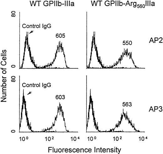 Fig. 7. Flow cytometric analysis of GPIIb-Arg560IIIa expressed on the transfected CHO cell surface. / CHO cells were incubated with 40 μg/mL AP3 (lower), AP2 (upper), or IgG as a negative control for 60 minutes at 4°C; washed; and further incubated with 1:100 dilution of FITC-conjugated anti-IgG for 60 minutes before flow cytometric analysis using a FACScan. MFIs are indicated on the histograms.
