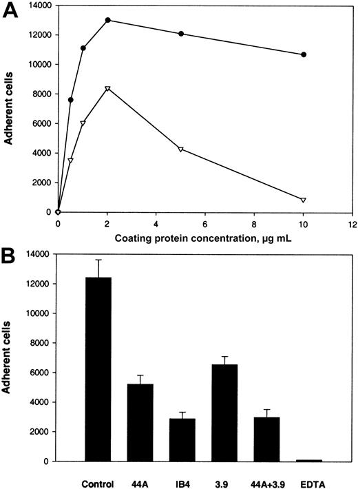 Fig. 6. Adhesion of U937 cells to αEC and D100. / (A) U937 cells in HBSS were labeled with Calcein and activated with 10 nM PMA. Aliquots of 5 × 105cells/mL were then added to the wells coated with αEC (●) and D100(▿). (B) Effect of mAbs on adhesion to αEC. Activated U937 cells were preincubated with either mAb 44a, mAb 3.9, or mAb IB4 alone (20 μg/mL), with a combination of 44a and 3.9 or with 4 mM EDTA for 15 minutes at 22°C. Then, aliquots of 5 × 104cells were added to microtiter plates coated with 10 μg/mL αEC.