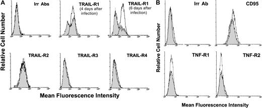 Fig. 5. Surface expression of DIL receptors analyzed in uninfected and HHV-7–infected SupT1 cells by immunofluorescence staining revealed by flow cytometry. / Representative analyses of surface TRAIL receptors (A) and of CD95, TNF-R1, and TNF-R2 (B) performed at 8 days after infection are shown. Uninfected cultures, unshadowed histograms. HHV-7–infected cultures, shadowed histograms. In panel A, the shift of the shadowed histograms along the x-axis illustrates the progressive decrease in the number of TRAIL-R1–expressing cells in HHV-7–infected cultures. In panels A and B, the negative control is represented by uninfected (unshadowed histograms) and HHV-7–infected (shadowed histograms) cultures stained with an irrelevant (Irr) isotype control Ab (Irr Ab). Data shown are from a single experiment representative of 6 independent experiments with similar results.