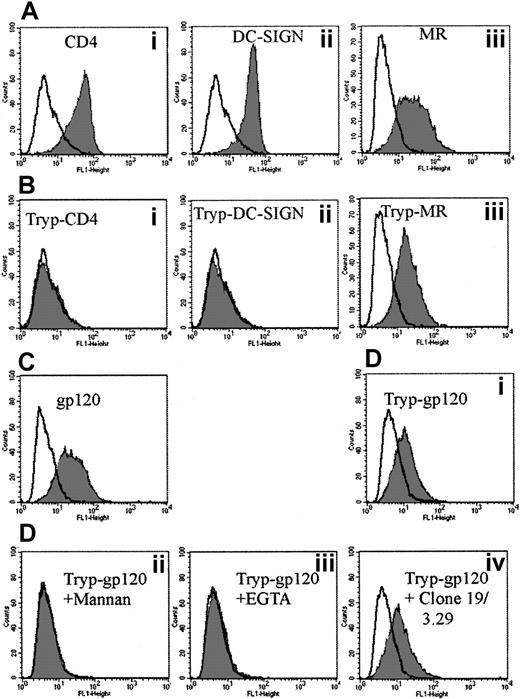 Fig. 4. Effect of trypsin on CD4, MR, and DC-SIGN mAbs and b-gp120 binding to MDDCs. / (A) CD4 (Leu3a) (Ai), DC-SIGN (AZN-D2) (Aii), and MR (clone 19) (Aiii) staining before trypsinization. A total of 2 μg/mL of mAb to CD4, DC-SIGN, and MR was added as outlined in “Materials and methods.” The mAb binding was detected via goat antimouse FITC (1 μg/mL) (Becton Dickinson) and fluorescence measured as in Figure 1. Gray histograms represent antibody staining with open overlaid histogram staining by matching isotype controls. (B) CD4 (Leu3a) (Bi), DC-SIGN (AZN-D2) (Bii), and MR (clone 19) (Biii) staining after trypsinization. Cells were treated with 0.25% trypsin at 37°C for 5 minutes and subsequently washed in normal media before the addition of mAbs to CD4, DC-SIGN, and MR as in panel A. (C) The b-gp120 binding before trypsinization. (D) The b-gp120 binding to MDDCs after trypsinization: effect of inhibitors. Trypsinized cells were mock-treated (Di) or treated with excess mannan (5 mg/mL) (Dii), EGTA (5 mM) (Diii), or anti-MR (clones 19 and 3.29) (5 μg/mL) (Div) for 30 minutes at 4°C. The b-gp120 was added and detected as in Figure 1A. Gray histograms represent gp120 staining and open overlays matched negative controls (treatment without addition of b-gp120).