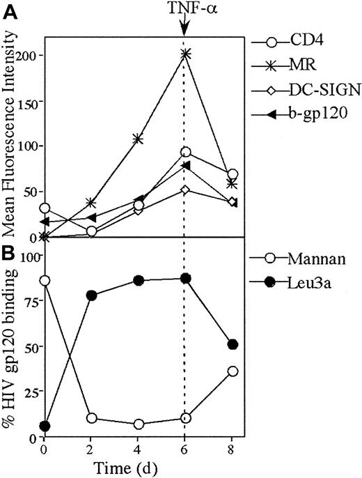 Fig. 5. Kinetics of CD4, DC-SIGN, and MR expression and gp120 binding during differentiation of monocytes to immature and mature MDDCs. / (A) CD4 and CLR expression and b-gp120 binding. Monocytes were stimulated to immature MDDCs as described in “Materials and methods.” Mature MDDCs were generated from day 6 to 8 by addition of 10 ng/mL TNF-α and expressed both maturation markers CD83 and CD86 by day 8 (> 70% +ve for both markers). The b-gp120, MAb to CD4 (leu3a), DC-SIGN (AZN-D2), and MR (clone 19) were added, incubated, and detected at days 0, 2, 4, 6, and 8 as outlined in Figures 1A and 4. The mean relative intensity of the isotype or negative control was subtracted from the mean fluorescent intensity for 10 000 cells. (B) HIV gp120 binding to CD4 and CLRs. At days 0, 2, 4, 6, and 8, cells were preincubated with either saturating levels of Leu3a (10 μg/mL) or mannan (5 mg/mL) and subsequently exposed to saturating levels of b-gp120 as outlined in Figures 1 and 2.