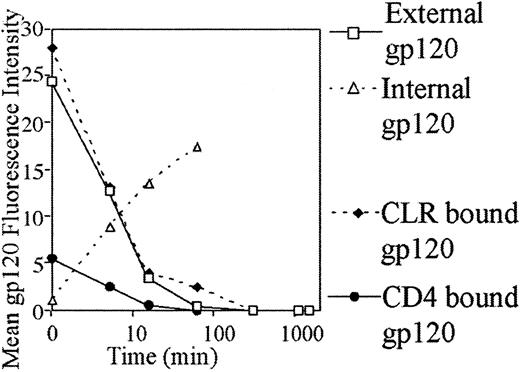 Fig. 8. Internalization of gp120 by MDDCs. / Cells were preincubated with anti-CD4 (Leu3a) to detect CLR-bound gp120 and with mannan to detect CD4-bound gp120 or binding media for total external or internal gp120 for 30 minutes at 4°C. Cells were then incubated with 5 μg/mL b-gp120 for 30 minutes at 4°C, washed twice in binding media, and incubated in culture media for the indicated times and stained to detect extracellular or intracellular gp120 as outlined in “Materials and methods.”