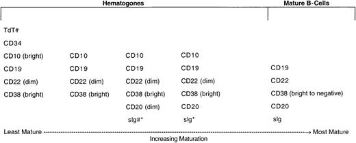 Fig. 2. Normal maturational sequence of bone marrow B-cell precursors (hematogones). / # TdT and sig were not used for assessment of hematogones in this study. They are included in the figure to more completely illustrate the normal stage of B-cell maturation. * The appearance of sig is variable among individual cells in different cases, occurring from shortly before to shortly after acquisition of a high level of CD20 expression.