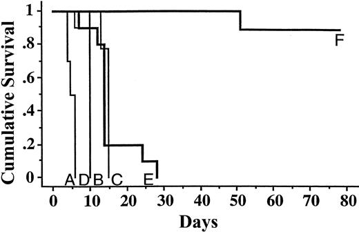 Fig. 6. Kaplan-Meier analysis of cumulative survival of mice bearing Ramos lymphoma xenografts treated with conventional or pretargeted RIT. / Groups of 8 to 10 mice bearing 50 to 300 mm3 Ramos tumor xenografts were treated as described in the legend to Figure 5and analyzed serially for survival as a function of time. Treatment groups included 800 μCi 90Y-DOTA-biotin alone (A), 1.4 nmol control conjugate NR-LU-10-SA, followed 24 hours later by 5.8 nmol CA and 3 hours after that with 800 μCi 90Y-DOTA-biotin (B), with 1.4 nmol directly radiolabeled 90Y-DOTA-1F5 labeled with either 200 μCi (C) or 400 μCi of 90Y (D), or with 1.4 nmol anti-CD20 immunoconjugate 1F5-SA followed 24 hours later by 5.8 nmol CA, and 3 hours after that with 400 μCi (E) or 800 μCi (F) 90Y-DOTA-biotin (lines B and D overlap extensively).