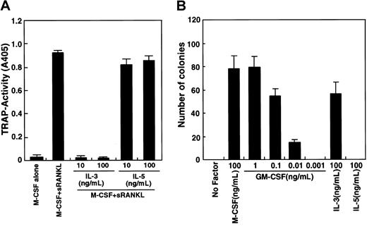 Fig. 2. Inhibition of osteoclastogenesis by IL-3. / (A) The c-Fms+RANK− cells were cultured in the presence of M-CSF and sRANKL with or without IL-3 and IL-5. Osteoclast differentiation was inhibited by addition of IL-3 but not IL-5. (B) The c-Fms+RANK− cells were cultured in 1.2% methylcellulose medium containing 100 ng/mL M-CSF, IL-5, IL-3, or various concentrations of GM-CSF. Colony formation was observed in the presence of M-CSF, IL-3, and GM-CSF but not IL-5.