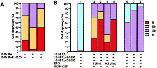 Fig. 2. Effect of RA and RARα antagonist on EPO-induced differentiation of FDCPmix. / RA inhibits and RARα antagonist stimulates EPO-induced differentiation of FDCP-mixA4 cells in vitro. (A) The RARα antagonist Ro41-5253 was previously described.38 FDCP-mixA4 cells were induced to differentiate in the presence or absence of indicated retinoids, and after 5 days in culture, cells were scored for morphology as in Figure 1A. (B) Effects of retinoids on differentiation of FDCP-mixA4 cells, which were derived from a different passage than those that were used to obtain the results shown in panel A. Cells treated with indicated GF conditions and retinoids were scored for morphology after 5 days in culture. Note that the effects of RARα antagonist on erythroid differentiation of these 2 different passages of FDCP-mixA4 cells are comparable. RARα-specific agonist (Ro40-6055), which as RA stimulates myelomonocytic differentiation of FDCP-mixA4 cells, has previously been described.38