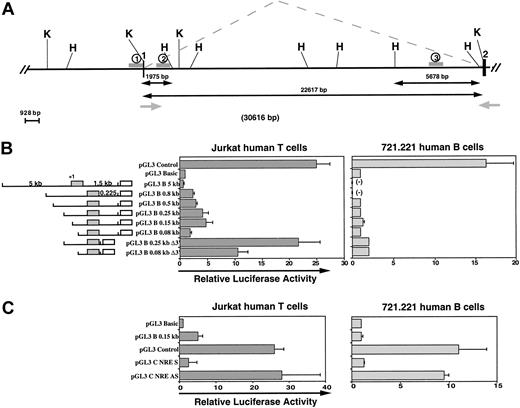 Fig. 1. Characterization of the functional promoter for CCR3 in human T cells. / (A) Map of the upstream region of the human CCR3 gene. Black boxes and angle dashed lines represent exons and splicing patterns, respectively. Exon 1 contains the main 5′ UTR part and exon 2 contains the ATG coding region. Grey arrows represent primers subsequently used for PCR in Figure 2A. H and K, respectively, indicate the position ofHindIII and KpnI sites. The 1, 2, and 3 located with gray lines indicate the regions analyzed by ChIP and DNaseI HS experiments. (B) Identification of the T-cell minimal promoter region for CCR3. Construct maps and data for relative luciferase expression in Jurkat human T cells (filled bars) and 721.221 human B cells (open bars). PCR fragments of variable sizes of the CCR3 5′-flanking region were generated and cloned in the Firefly luciferase pGL3 Basic vector. Exon 1 (gray box) and Luciferase (open box) are represented on the maps. Plasmids were transiently transfected by electroporation with a control plasmid pRL-TK (Renillaluciferase) into Jurkat and 721.221 cells. Relative luciferase activities of the cell lysates are representative of at least 5 independent experiments performed with different clones for each construct. Errors bars indicate SDs. (-) indicates not tested. (C) Identification of an NRE located in the flanking intronic region. An intronic PCR fragment (+134 to +237) was cloned either in sense (pGL3 C NRE S) or antisense orientation (pGL3 C NRE AS) into theFirefly luciferase vector pGL3 control containing the SV40 promoter and enhancer. Relative luciferase activities were determined as described in (B).