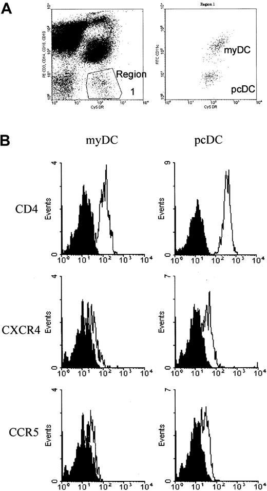 Fig. 1. Identification of blood DCs for quantification and expression of HIV-1 receptor and coreceptor molecules. / DCs were identified by FACS analysis on the basis of their lack of labeling for the mononuclear cell markers CD3, CD14, CD16, and CD19 but positive staining for HLA-DR. The myDCs were differentiated from the pcDCs by their expression of CD11c (A). (B) Histograms show expression of CD4, CXCR4, and CCR5 on myDCs and pcDCs. In each plot, the solid curve depicts labeling with an isotype control antibody and the open curve shows labeling with a specific antireceptor antibody.