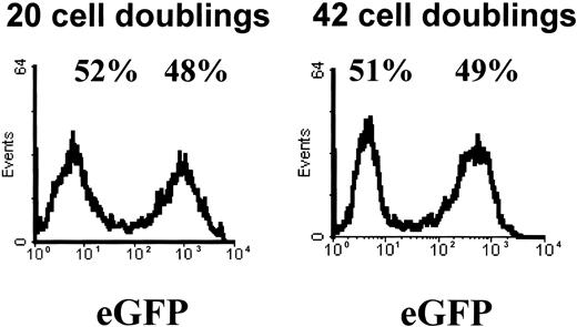 Fig. 4. Retroviral transduction of MPCs. / MPCs were subcultured at a 1:4 dilution and then subjected to 2 sequential transductions 24 hours apart with a gibbon ape leukemia virus (GALV)–pseudotyped MFG-eGFP vector. Transduction efficiency was examined by FACS analysis for eGFP. Shown is the result of a representative example of more than 10 experiments on day 3 after transduction and again after 22 additional population doublings.