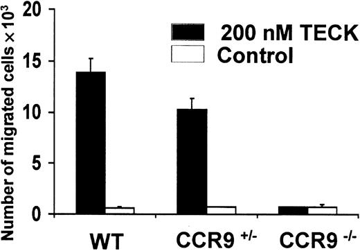 Fig. 4. Chemotactic responses to TECK/CCL25. / Freshly isolated thymocytes from CCR9-deficient (CCR9−/−), CCR9-heterozygous (CCR9+/−) and wild-type mice were placed in the upper chamber of a 24-well Transwell plate. Recombinant TECK/CCL25 (200 nM) or culture medium, as a negative control, were placed in the lower chamber. After 4 hours of incubation, cells in the lower chamber were counted both manually and by flow cytometry.