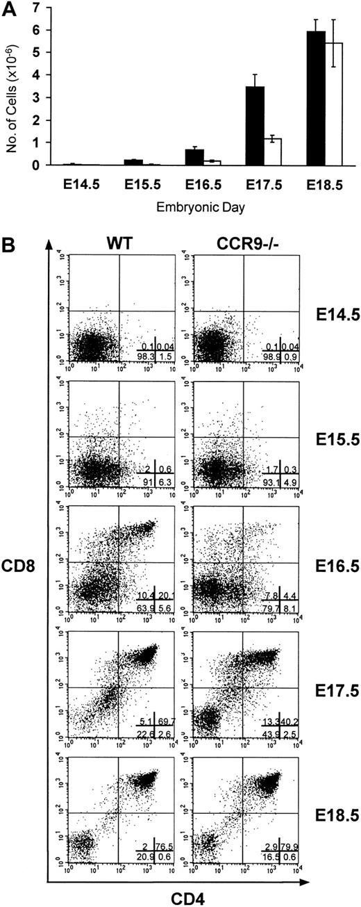 Fig. 5. Fetal thymic ontogeny in CCR9-deficient mice. / (A) The number of lymphoid cells found in CCR9-deficient (□) and wild-type (■) thymi are represented at different ages of embryonic life. (B) CD4/CD8 staining profiles on total thymocytes from wild-type and from CCR9-deficient mice at different ages of embryonic life. The percentage of cells within each quadrant is indicated in the lower-right panel.