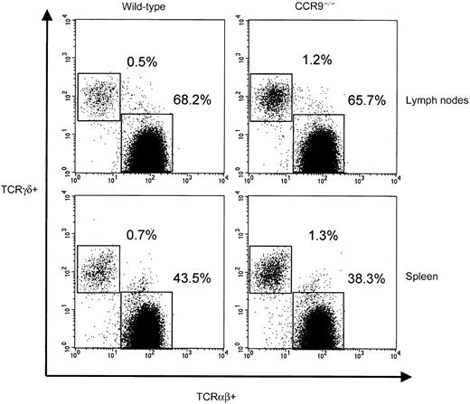 Fig. 6. Peripheral TCRαβ and TCRγδ cells in CCR9-deficient mice. / Lymphocytes isolated from lymph nodes and spleens of CCR9-deficient and wild-type mice were analyzed by 4-color flow cytometry. Two-color plots represent the TCRαβ versus TCRγδ staining observed on CD3-positive cells. The percentages of TCRαβ and TCRγδ cells found in each organ are indicated.