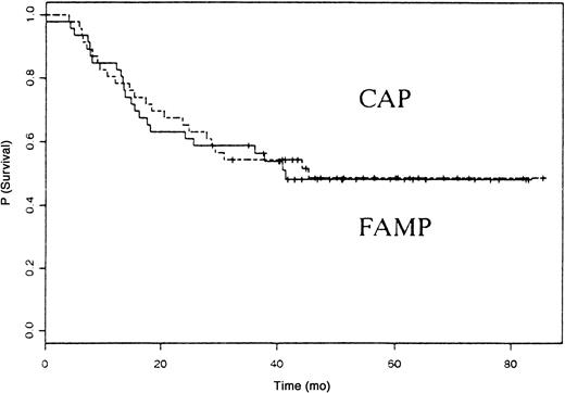 Fig. 2. OS rate in the 2 study groups (P = .89 on log rank test).