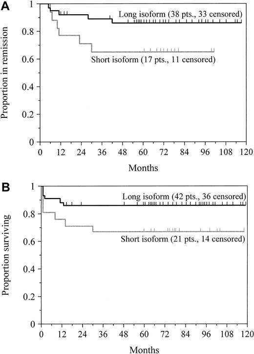 Fig. 4. Survival by PML/RAR-α isoform type. / Probabilities of disease-free survival for newly diagnosed patients achieving clinical complete remission (A) and overall survival (B) in patients who expressed either the short or long transcript of PML/RAR-α are shown. Tick marks indicate the time of last follow-up. Patients with the short transcript had an inferior remission duration (P = .06) and overall survival (P = .08) compared with patients expressing the long isoform.