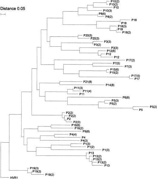 Fig. 2. Phylogenetic tree of HVR1 sequences from patients with MC2 obtained by the neighbor-joining method. / Branches are drawn to scale, and the scale bar corresponds to 0.05% nucleotide sequence divergence. Numbers included in the brackets correspond to the number of clones with identical sequences identified in that patient. HVR1 indicates the consensus sequence.
