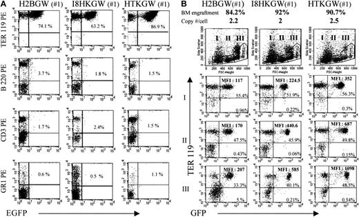 Fig. 4. Expression of vectors in murine cells in vivo. / FACS analyses of GFP expression in mice 11 weeks after BMT of Sca+/Lin− cells transduced with the H2BGW, I8HKGW, and HTKGW vectors. Representative mice with the relatively same donor cell engraftment and proviral copy number are shown. (A) Peripheral blood analyses of RBCs and WBCs (after RBC lysis) showing GFP expression (x-axes) in the erythroid, B cells, T cells, and granulocytes (y-axes). (B) BM analyses of erythroid cells in the same mice at progressively increasing stages of erythroid differentiation. Small (I—RBC), intermediate (II—intermediate normoblasts), and large cells (III—early normoblasts) were gated based on their FCS profile and Ter-119 expression. The percentages mentioned in different quadrants denote the proportion of cells present in that quadrant.