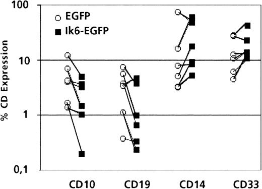 Fig. 3. Comparison of lymphoid or myeloid antigen expression in transduced cells after in vitro differentiation. / Percentage of cells positive for CD10 or CD19 (B lineage) or CD14 or CD33 (myeloid lineage) in the “lymphocyte” gate of 6- to 8-week-old MS-5 cocultures, initiated with sorted EGFP+ placental CD34+ cells, transduced with LZRS-Ik6-EGFP or LZRS-EGFP (paired experiments). Five of 6 experiments showed a decrease of CD10+ or CD19+ cells and an increase of CD14+ and CD33+ cells in cultures initiated with CD34+ cells transduced with LZRS-Ik6-EGFP when compared with cultures initiated with LZRS-EGFP transduced CD34+ cells.
